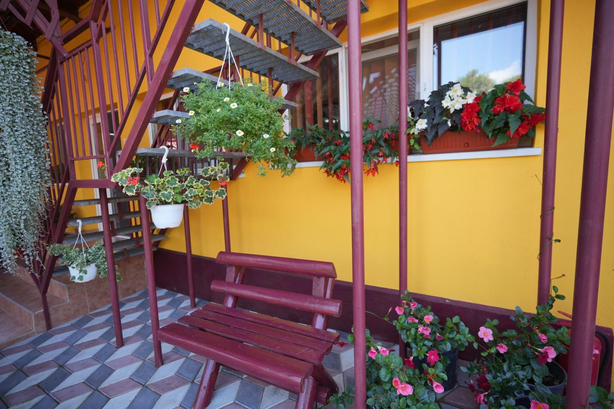 Apartmán Casa Ion Horezu Exteriér fotografie