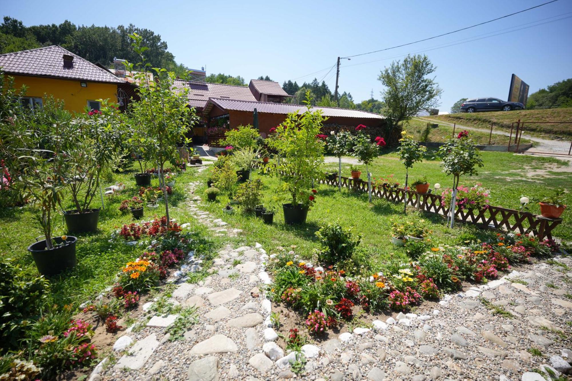 Apartmán Casa Ion Horezu Exteriér fotografie